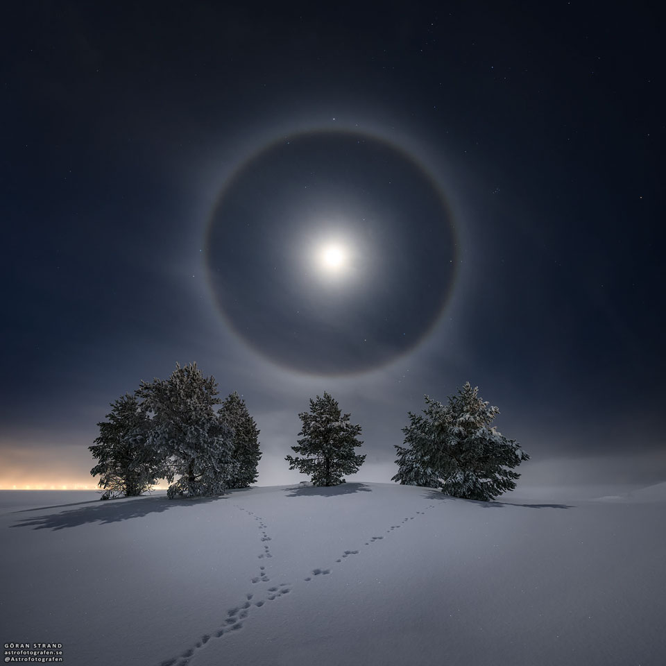 Lunar Halo over Snowy Trees 