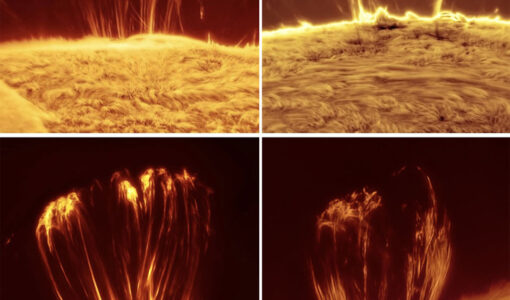 Coronal Loops on the Sun