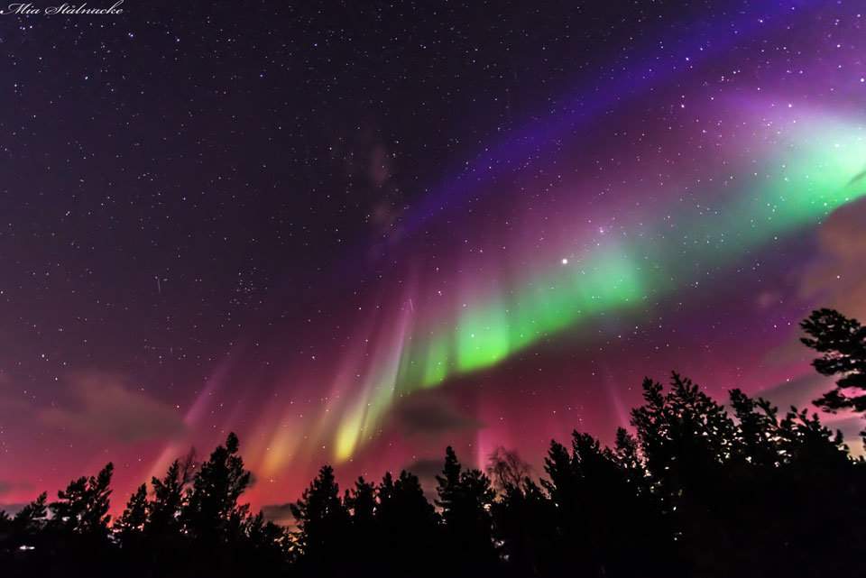 A Flag Shaped Aurora over Sweden 