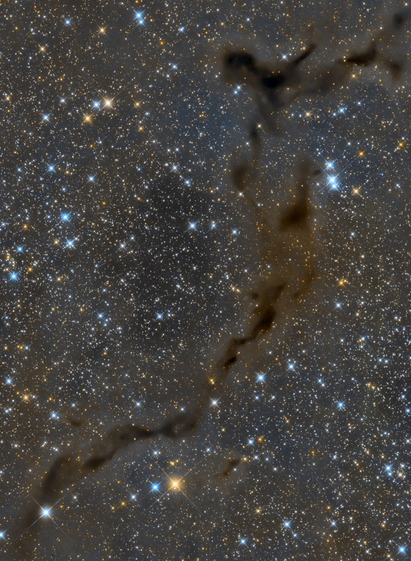 The Dark Seahorse in Cepheus