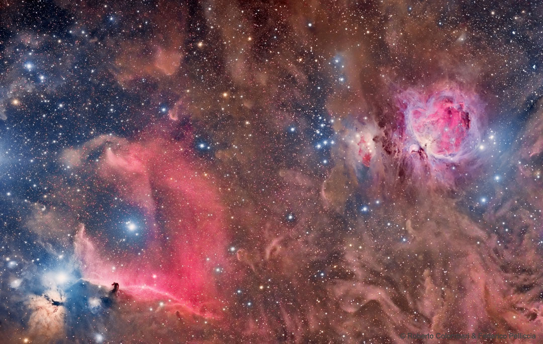 Horsehead and Orion Nebulas 